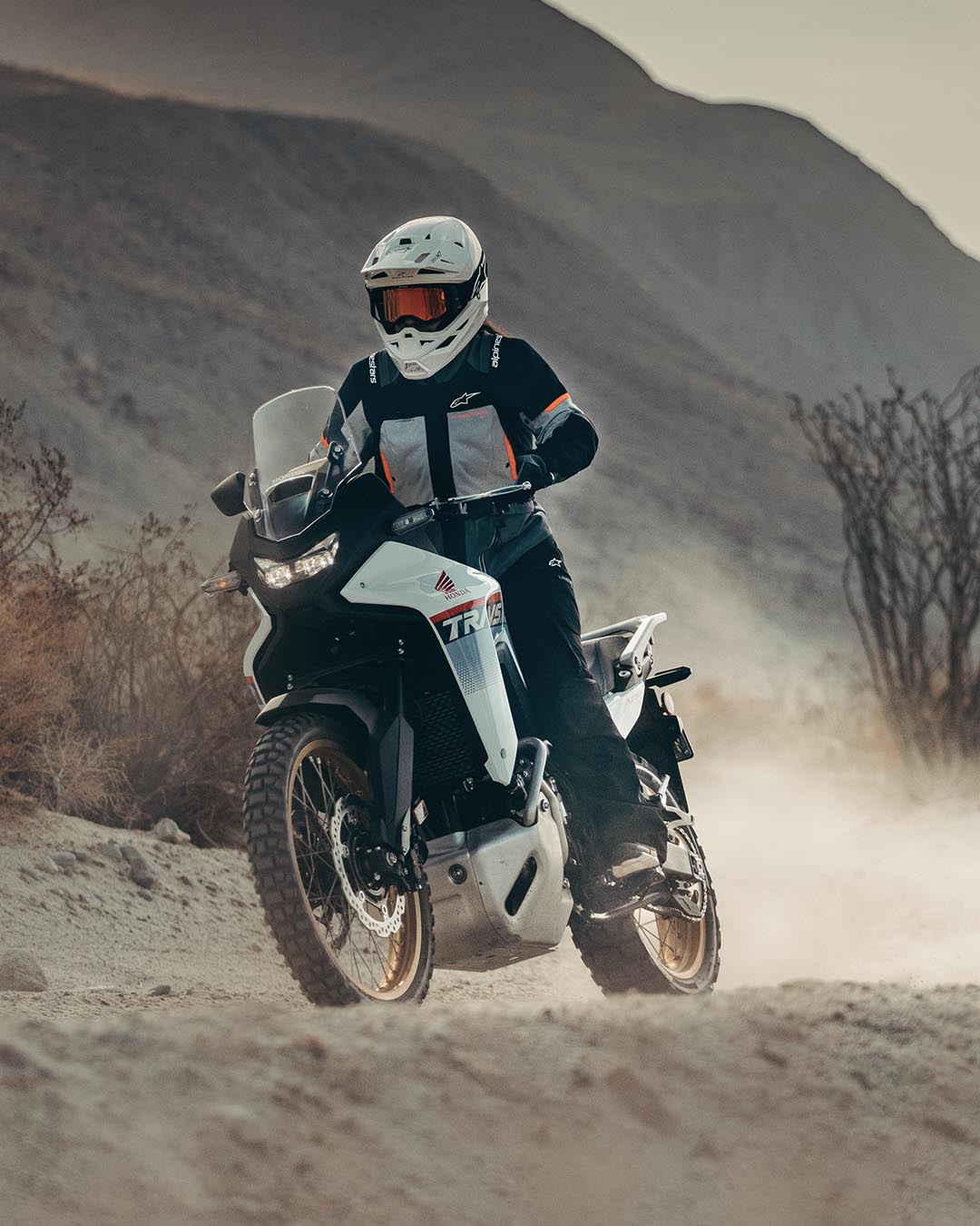 Image 23272733507642